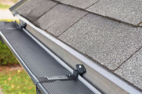 Covered Gutter Installation in Dunedin