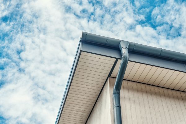 Gutter Fascia Repair in Dunedin