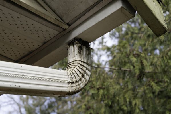 Roof Drain Replacement in Dunedin