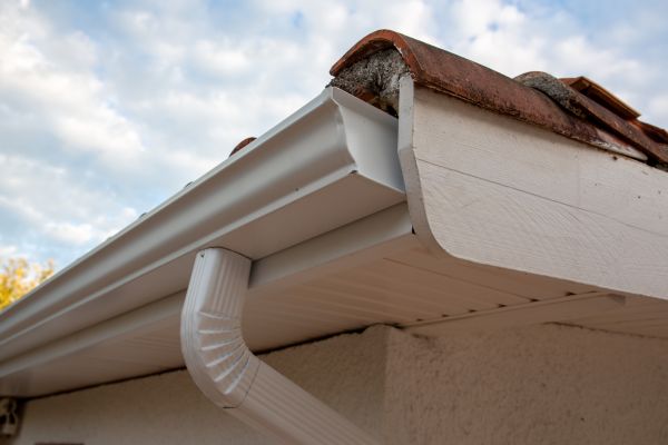 K Style Gutter Replacement in Dunedin