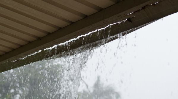 Leaking Gutter Repair in Dunedin