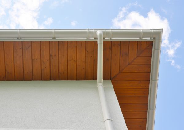 Downspout Diverter Service in Dunedin