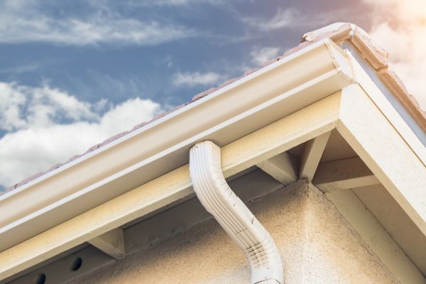 Seamless Gutter Replacement in Dunedin