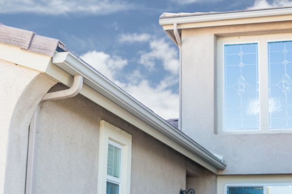 Continuous Gutter Installation in Dunedin
